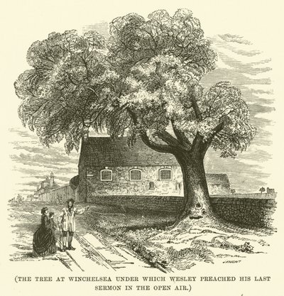 The tree at Winchelsea under which Wesley preached his last sermon in the open air by English School