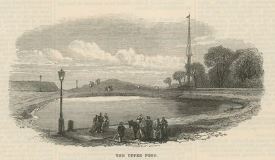 The upper pond, Hampstead Heath by English School