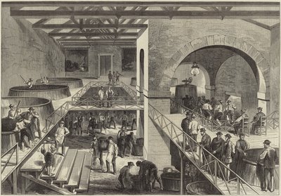 The Vintage of Medoc by English School