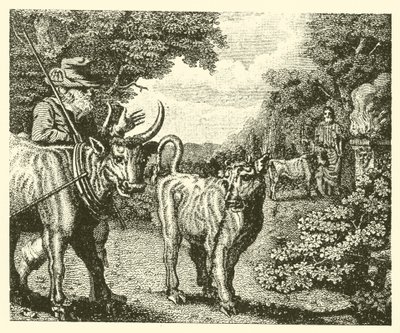 The Wanton Calf by English School