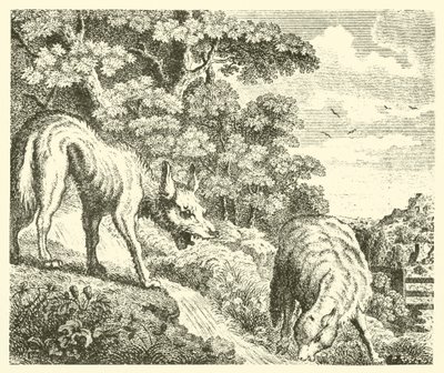 The wolf and the lamb by English School