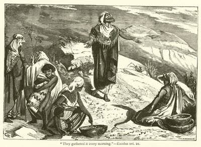 "They gathered it every morning", Exodus, xvi, 21 by English School