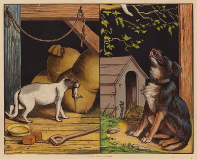This Is The Cat; This Is The Dog by English School