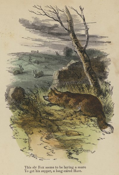 This sly Fox seems to be laying a snare, To get his supper, a long-eared Hare by English School