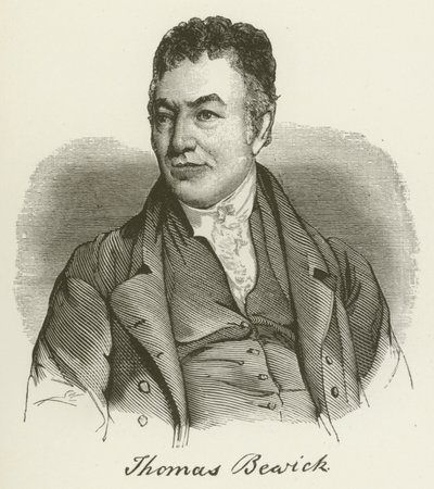 Thomas Bewick by English School