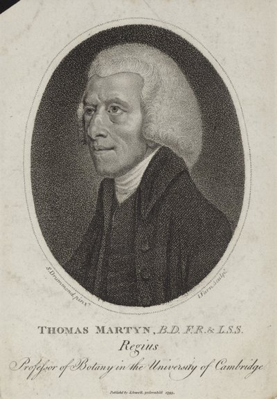 Thomas Martyn by English School