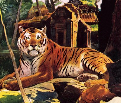 Tiger in the Ruins by English School
