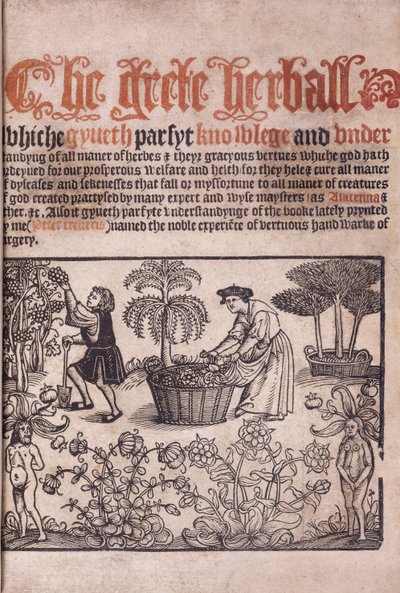 Title page illustrating a garden scene with figures, 1529 by English School