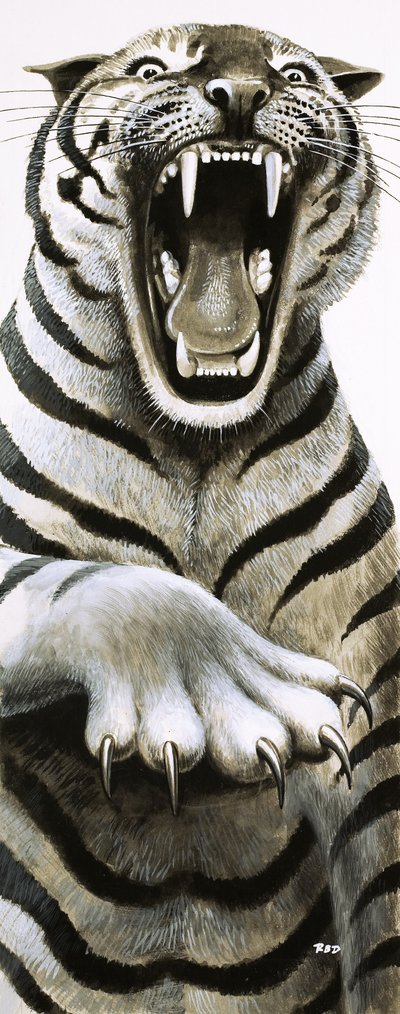 Tooth and Claw by English School