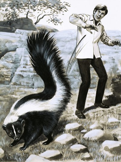 Tooth and Claw: The Skunk by English School