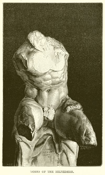 Torso of the Belvedere by English School