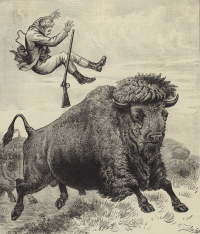 Tossed by a prairie bull by English School