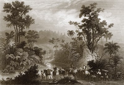 Travels in the Brazils by English School