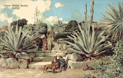 Tresco Abbey Garden, Scilly Isles, Cornwall by English School