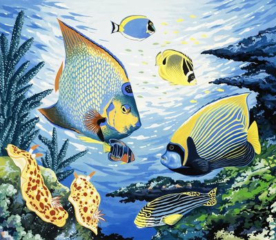 Tropical Fish by English School