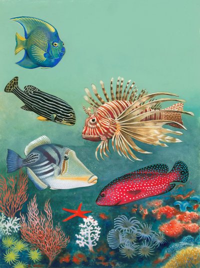 Tropical Fish by English School
