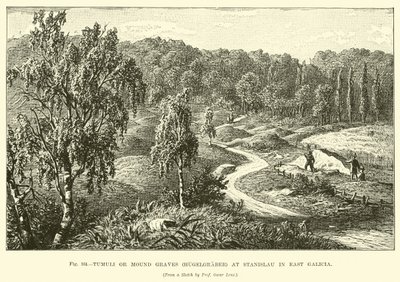 Tumuli or Mound Graves (Hugelgraber) at Stanislau in East Galicia by English School