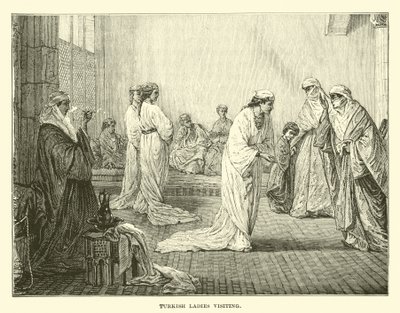Turkish ladies visiting by English School