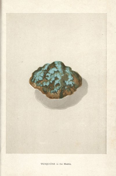 Turquoise in the Matrix, from Edwin Streeter