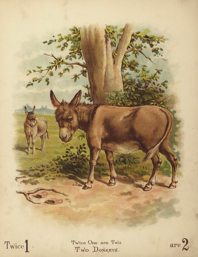 Two Donkeys by English School