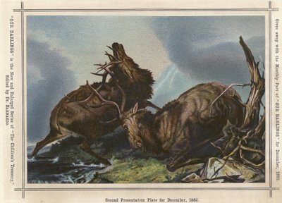 Two stags rutting by English School