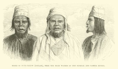 Types of Futa-Jallon, Foulah, Near the Head Waters of the Senegal and Gambia Rivers by English School