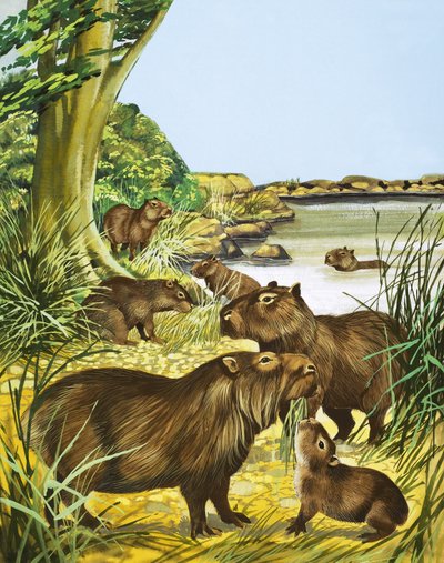 Unidentified animals by a pool by English School