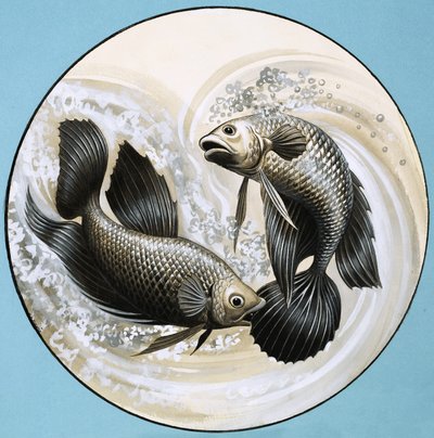 Unidentified Fish, One Biting the Other by English School