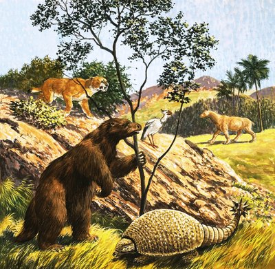 Unidentified Prehistoric Creatures by English School