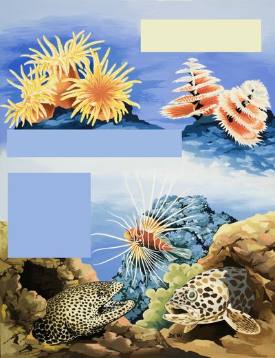 Unidentified underwater flora and fauna by English School