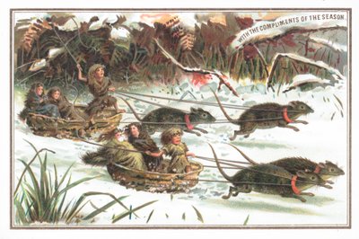 Urchins having a sledge Rat Race by English School
