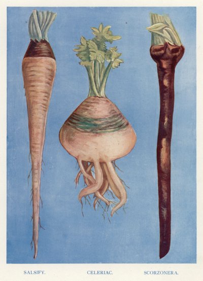 Vegetable Grower