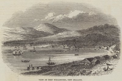View of Port Wellington, New Zealand by English School