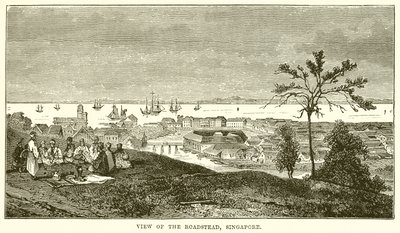 View of the Roadstead, Singapore by English School
