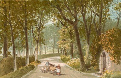 Vinchelez Lane--Jersey by English School