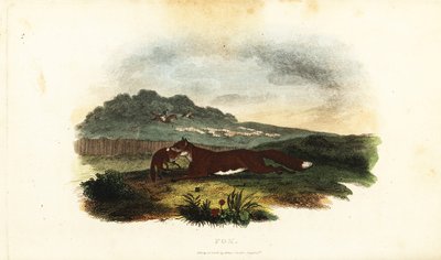 Vixen fleeing from hunting hounds with her cub in her mouth by English School