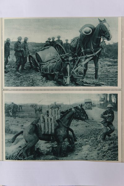 War Horses Sinking in the Mud, Northern France, August 1917 by English School