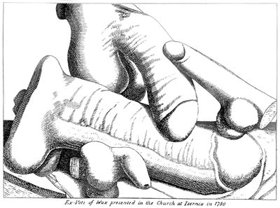 Wax ex-votos of the male penis from Isernia in the Molise region of Southern Italy by English School