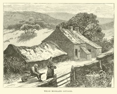 Welsh Moorland Cottages by English School