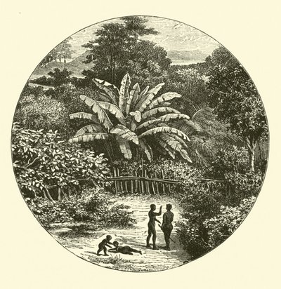 West Africa by English School