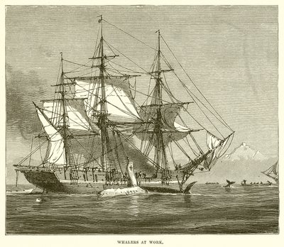 Whalers at Work by English School