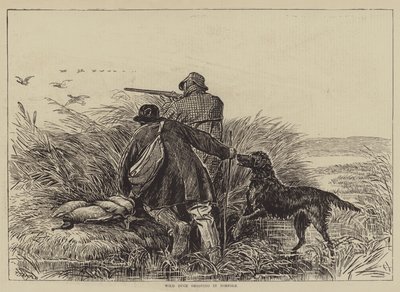 Wild Duck Shooting in Norfolk by English School