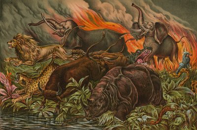 Wild game of Africa fleeing before fire by English School