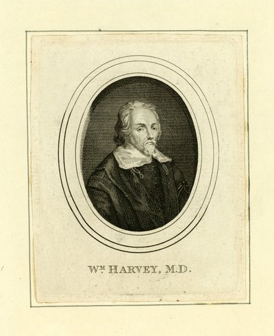 William Harvey by English School