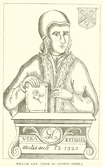William Lily by English School
