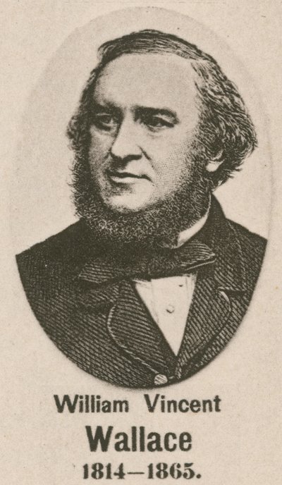 William Vincent Wallace by English School