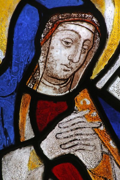 Window depicting the Virgin Mary by English School