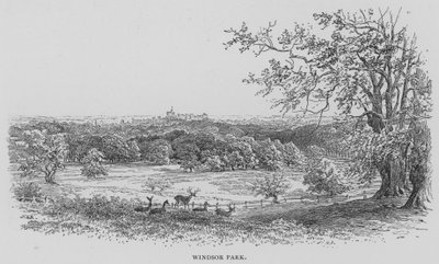Windsor Park by English School