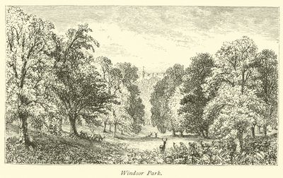 Windsor Park by English School