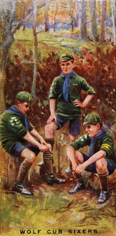 Wolf Cub Sixers by English School